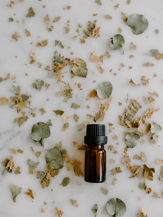 Aceite de orégano: para qué sirve y cómo tomarlo