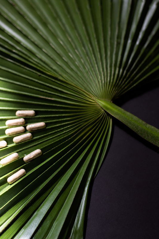 Saw palmetto — para qué sirve y cómo tomarlo
